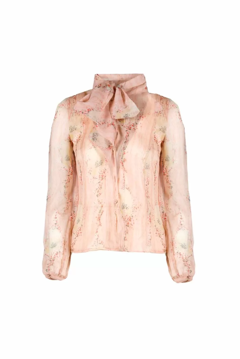 Tops & Blouses | Luisa Beccaria Chiffon Circle Of Roses Shirt With Flake